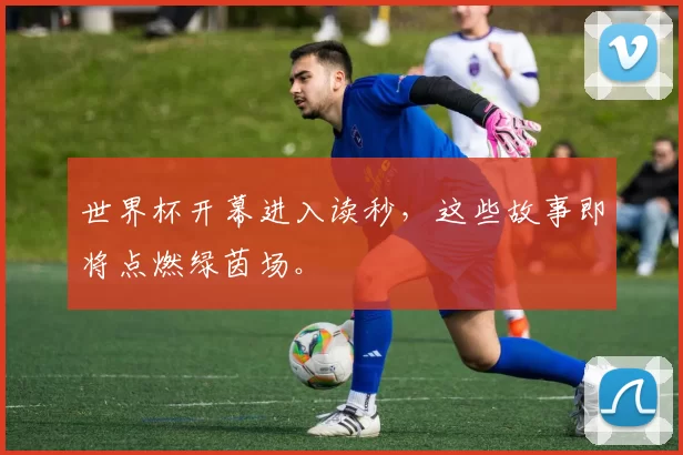 世界杯开幕进入读秒,这些故事即将点燃绿茵场。