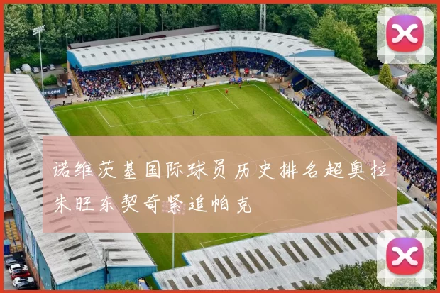 诺维茨基国际球员历史排名超奥拉朱旺东契奇紧追帕克
