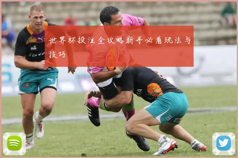 世界杯投注全攻略新手必看玩法与技巧