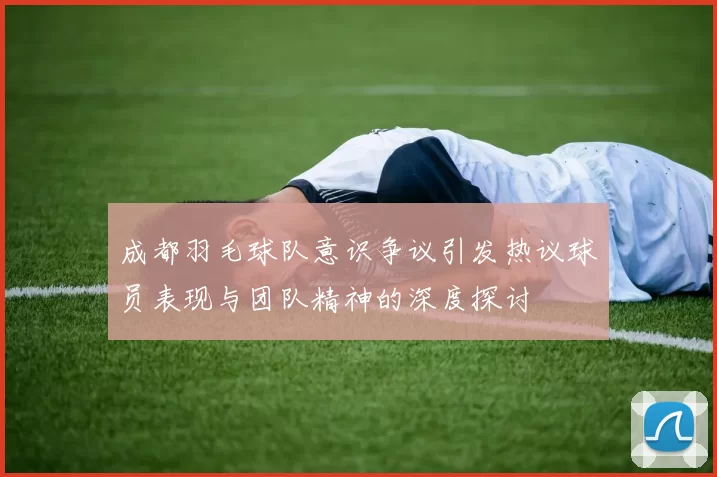 成都羽毛球队意识争议引发热议球员表现与团队精神的深度探讨