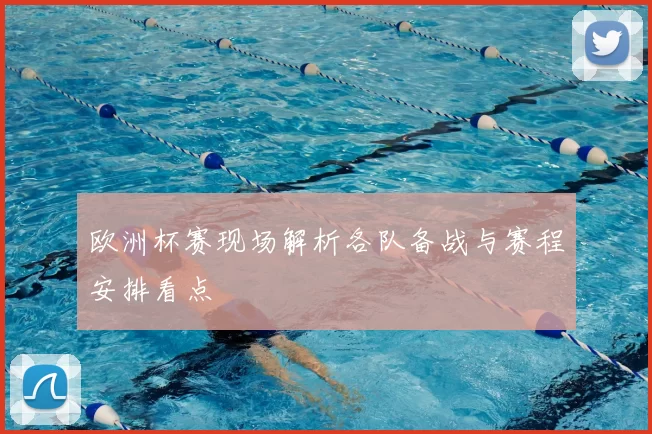 欧洲杯赛现场解析各队备战与赛程安排看点
