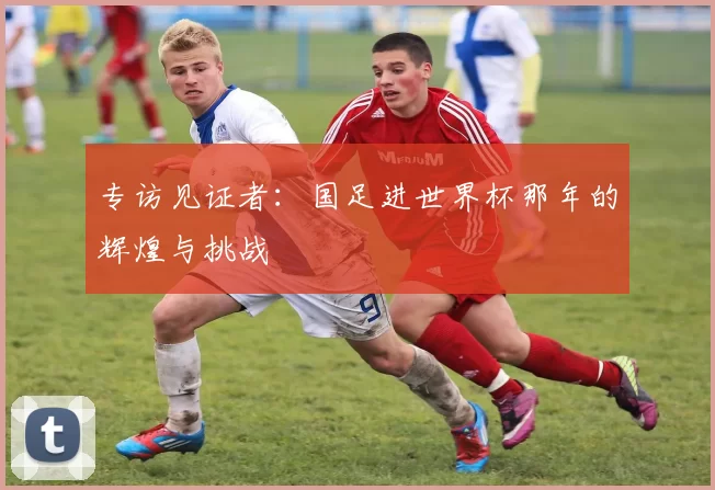 专访见证者：国足进世界杯那年的辉煌与挑战