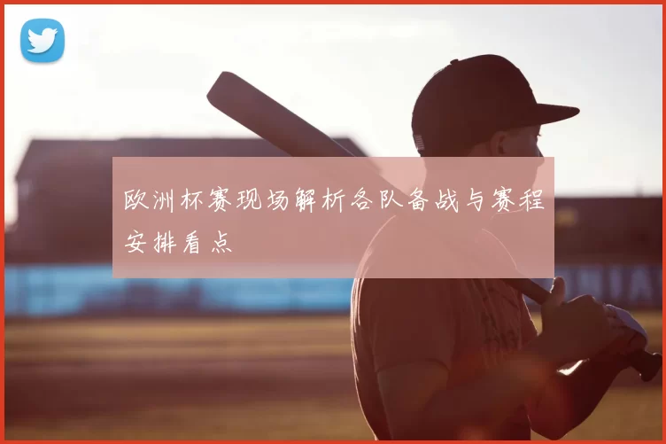 欧洲杯赛现场解析各队备战与赛程安排看点