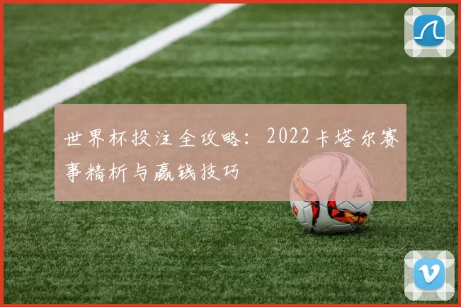 世界杯投注全攻略：2022卡塔尔赛事精析与赢钱技巧