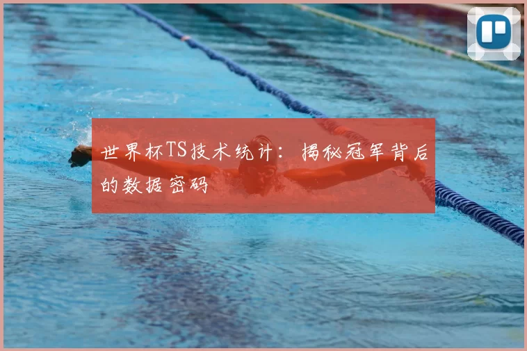 世界杯TS技术统计：揭秘冠军背后的数据密码