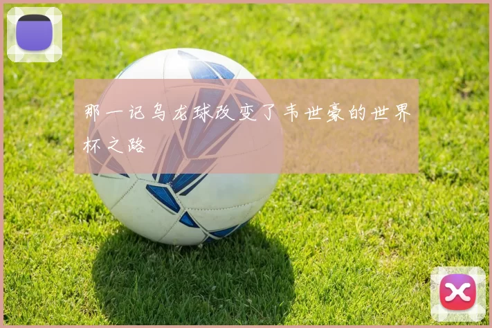 那一记乌龙球改变了韦世豪的世界杯之路